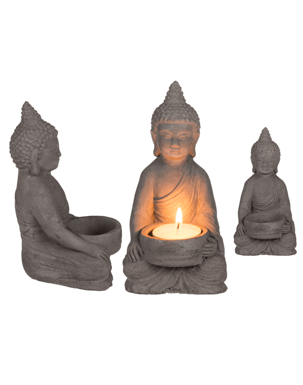 Žvakidė - Buda