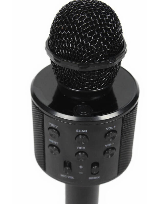 Belaidis karaoke mikrofonas WS-858
