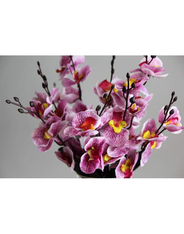 Dirbtinės orchidėjos